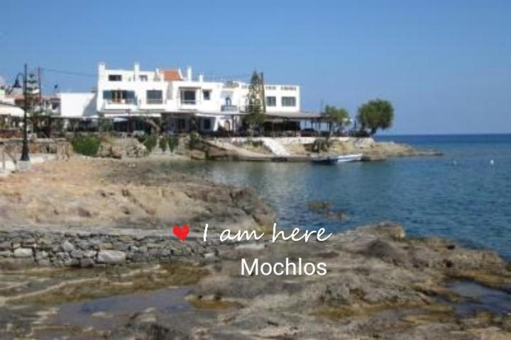 Apartment On The Sea Despoina At Creta